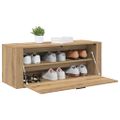 vidaXL Skriňa na topánky 100 x 35 x 38 cm Kompozitné drevo Dub artisan