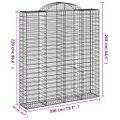vidaXL Oblúkový gabionový kôš 6 ks 200x50x220/240cm pozinkované železo