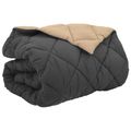 vidaXL Zimný prehoz 200 x 200 cm 450 gsm Mikrovlákno (100% polyester)