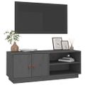 vidaXL TV skrinka sivá 105x34x40 cm masívna borovica