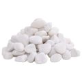 vidaXL Leštené kamienky 10 kg biele 2-5 cm
