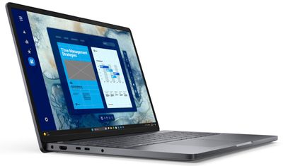 Dell Pro 16/PC16250/3-100U/16''/WUXGA/8GB/512GB/Intel int/W11P/Gray/3R NBD