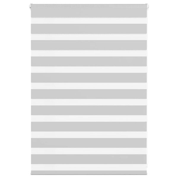 vidaXL Zebra roleta svetlosivá 100x100cm šírka látky 95,9 cm polyester