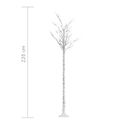 vidaXL Vianočný stromček/vŕba 200 LED 2,2 m, teplá biela, dovnútra/von