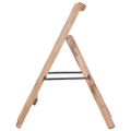vidaXL Stojan na víno na 15 fliaš 26x50x70 cm mahagónový masív