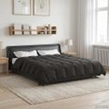 vidaXL Prikrývka na celý rok 200 x 220 cm 4 ročné obdobia Antracitová