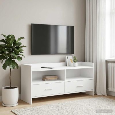 vidaXL TV skrinka 100 x 33 x 47 cm Biela Kompozitné drevo