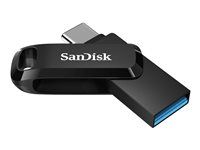 USB flash disk - 512 GB - USB 3.2 Gen 1 / USB-C