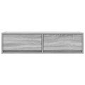 vidaXL TV skrinka 100 x 31 x 25,5 cm Sivý dub sonoma Kompozitné drevo