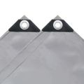 vidaXL Celta 650 g/m², 2x3 m, sivá