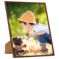vidaXL Fotorámiky na stenu alebo stôl 3 ks bronzové 50x50 cm MDF