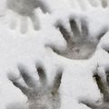 AK Interactive: Ice Sparkles
