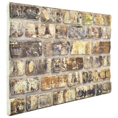 vidaXL Nástenné panely 10 pcs Viacfarebný 100 x 50 cm EPS pena