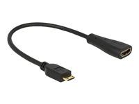 Kábel HDMI s ethernetom - 19 pin mini HDMI Type C s pinmi (male) do HDMI so zdierkami (female) - 23 cm - čierna