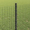 vidaXL Zvarené pletivo s podperami 10 x 0,8 m PVC potiahnutá oceľ Sivá