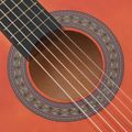 vidaXL 8-dielna klasická gitarová sada pre začiatočníkov 3/4 36"