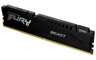 Kingston FURY Beast EXPO/DDR5/32GB/6000MHz/CL36/1x32GB/Black