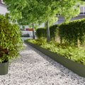 vidaXL Obrubník trávnika 10 ks 25 x 103 cm Olivovo zelená