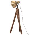 vidaXL Podlahová lampa 25 W starožitná mosadzná 45x45x120 cm E27