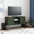 vidaXL TV skrinka olivovozelená 100,5x39x60,5 cm oceľ