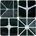 vidaXL Párty stan Zelená 400 x 400 x 266 cm Polyetylén a oceľ