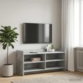 vidaXL TV skrinka 100 x 33 x 47 cm Betónovo sivá Kompozitné drevo
