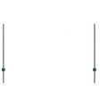 vidaXL Hexagonálny plot s stĺpom 25 x 1 m PVC potiahnutá oceľ Zelená