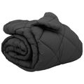 vidaXL Zimný prehoz 200 x 220 cm 450 gsm Mikrovlákno (100% polyester)