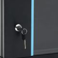 vidaXL 4U Nástenná serverová skriňa 19" 600x450x285 mm IP20