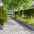 vidaXL Obrubník trávnika 20 ks 25 x 103 cm Antracitová