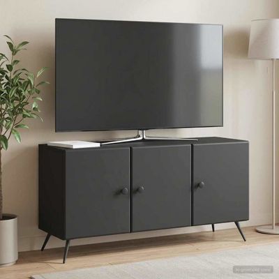 vidaXL TV skrinka Čierna 99 x 34,5 x 50 cm Kompozitné drevo