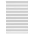 vidaXL Zebra roleta svetlosivá 100x100cm šírka látky 95,9 cm polyester