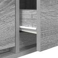 vidaXL TV skrinka 100 x 31 x 25,5 cm Sivý dub sonoma Kompozitné drevo