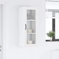 vidaXL Nástenný sklenený kabinet PORTO Biela 40 x 31 x 100 cm