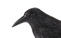 Havran plastová 3D maketa na plašenie vtákov RAVEN ISO 0783, 40cm Havran plastová 3D maketa na plašenie vtákov RAVEN ISO 0783, 40cm