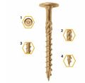 Tesárske vruty do dreva tanierové M8x100mm Torx A1, 50ks WCT-08100 Tesařské vruty do dřeva talířové M8x100mm Torx A1, 50ks WCT-08100