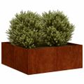 vidaXL Kvetináč, hrdzavý 80x80x30 cm, cortenová oceľ