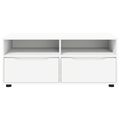 vidaXL TV skrinka 100 x 48 x 43 cm Biela Kompozitné drevo