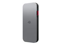 Power banka - 10000 mAh - 30 watt - 3 A - 2 výstupné konektory (USB-C) - thunder black - celý svet - pre 100e Chromebook Gen 3; ThinkBook 14 G2 ITL; ThinkCentre M75t Gen 2; ThinkPad T16 Gen 4