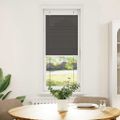 vidaXL plisovaná roleta čierna 50x150 cm Šírka látky 49,4 cm