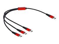USB kábel - USB-C (M) do USB-C (M) - USB 2.0 - 5 V - 3 A - 30 cm - čierna