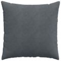 vidaXL Vankúše na pohovku 2 pcs Tmavo šedá 60 x 60 cm