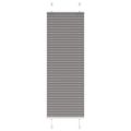 vidaXL plisovaná roleta antracit 45x100 cm Šírka látky 44,4 cm