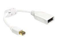 Adaptér DisplayPort - DisplayPort (F) do Mini DisplayPort (M) - 21 cm