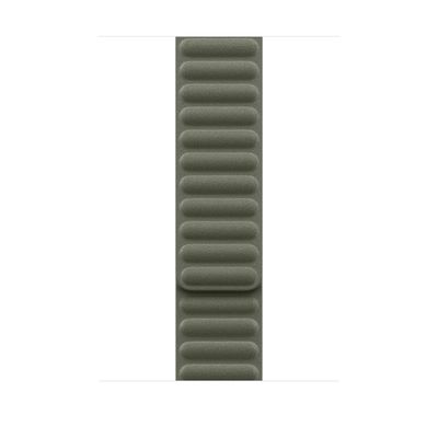 Watch Acc/46/Sage Gray Magnetic Link - M/L