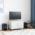 vidaXL TV skrinka biela 68x39x43,5 cm oceľ