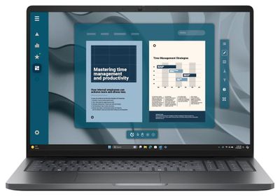 DELL Pro 16 PC16255/ AMD Ryzen 3 210/ 8GB/ 512GB SSD/16" FHD+/ FPR/ W11Pro/ 3Y PS on-site/ bez adaptéra Notebook, Ryzen 3 210, 8GB DDR5, 512GB SSD, AMD Radeon 740M, 16" Full HD+ IPS, W11P, sivý, 3Y PS on-site, bez adaptéra