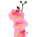vidaXL Umelá rastlina orchidea Ružová 36 x 10 x 30 cm