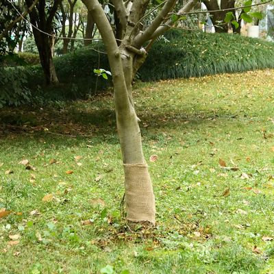 vidaXL Valec z juty 0,25x5 m 100 % juta 200 gsm