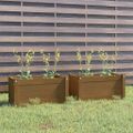 vidaXL Záhradné kvetináče 2 ks medovo-hnedé 60x31x31 cm borovicový masív